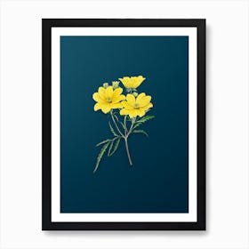 Vintage Golden Coreopsis Flower Botanical Art on Teal Blue n.0752 Art Print