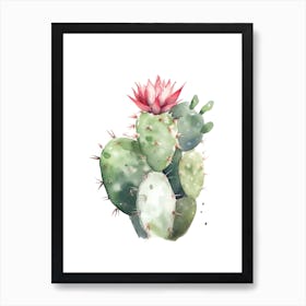 Crown Of Thorns Cactus Watercolour Drawing 4 Art Print