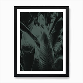 Green Banana Art Print