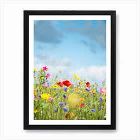 Wildflower Meadow Art Print