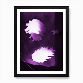 Purple Pine Cones Botanical Art Print