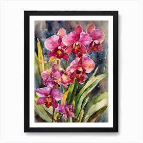 Lycaste Orchids Water Colour 1 Art Print