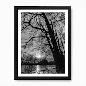 Tree in Winter Black And White Photo Art Print