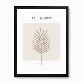 Boho Leaves 1 Trachycarpus Poster