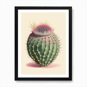 Pincushion Cactus Retro Drawing Art Print