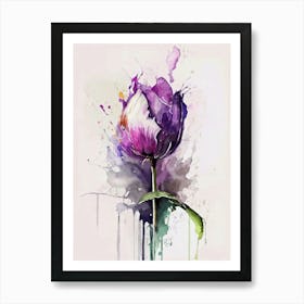 Purple Tulip Art Print