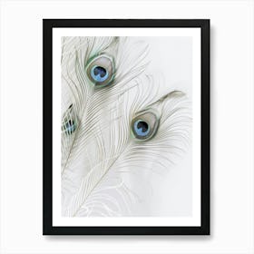 Peacock Feathers Art Print