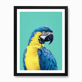 Macaw Parrot In Blue Art Print