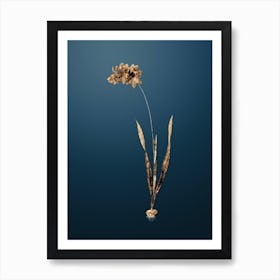 Gold Botanical Ixia Filiformis on Dusk Blue n.0436 Art Print
