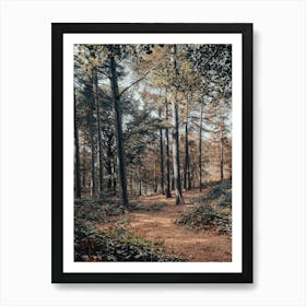 Path In The Woods Art Print