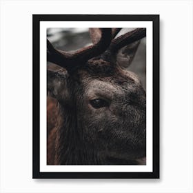 Modern Elk Poster