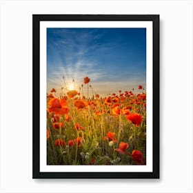 Gorgeous Sunset In A Poppy Field 1 Art Print