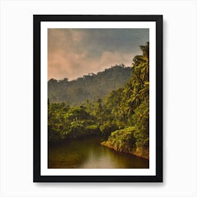 Tanjung Puting National Park Indonesia Vintage Poster Art Print