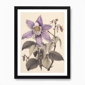 Katakuri Dogtooth Violet 2 Vintage Japanese Botanical Art Print