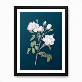 Vintage White Rose Botanical Art on Teal Blue n.0939 Art Print