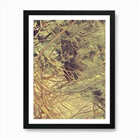 Bird In A Tree Art Print