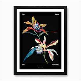 No Rain No Flowers Poster Monkey Orchid 2 Art Print