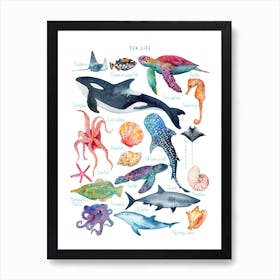 Sea Life Animal Art Print