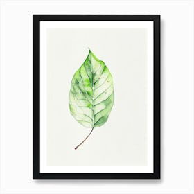 Betel Leaf Minimalist Watercolour Art Print