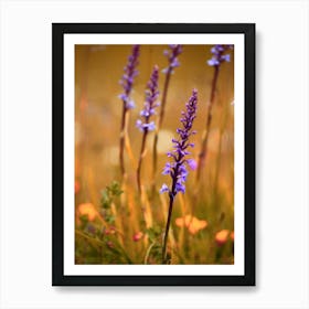 Purple Meadow Flowers Close Up Art Print