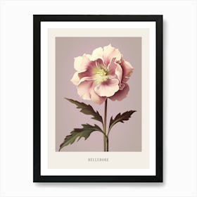 Floral Illustration Hellebore 1 Poster Art Print