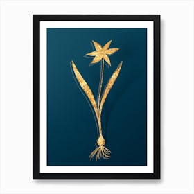 Vintage Tulipa Celsiana Botanical in Gold on Teal Blue n.0185 Art Print