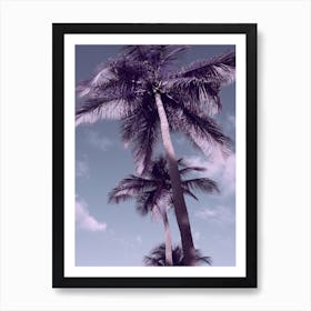 Palm Tree Sky Art Print