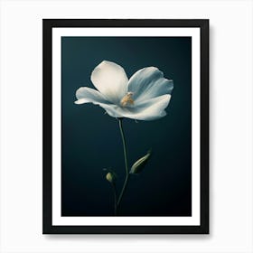 White Flower 5 Art Print