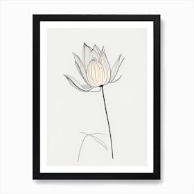 American Lotus Minimal Line Drawing 1 Art Print