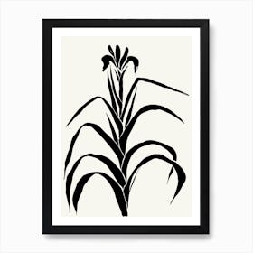 Irises Black and White Botanical Art Print