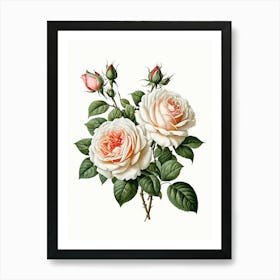 Vintage Galleria Style Rose Art Painting 16 Art Print