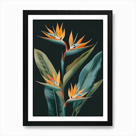 Bird Of Paradise 20 Art Print