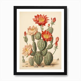 Vintage Cactus Illustration Bunny Ear Cactus 1 Art Print
