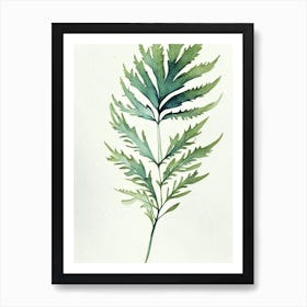 Wormwood Leaf Minimalist Watercolour 4 Art Print