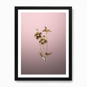 Gold Botanical Chilian Guem Flower on Rose Quartz n.1826 Art Print