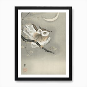 Long Eared Owl In Ginkgo, Ohara Koson Vintage Japanese Art Print