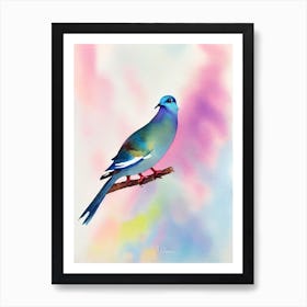 Dove Watercolour Bird Affiche