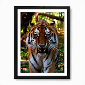 Tiger Stock Videos & Royalty-Free Footage Art Print