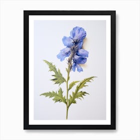 Pressed Flower Botanical Art Aconitum 3 Art Print