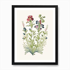 Nemesia Floral 3 Botanical Vintage Poster Flower Art Print