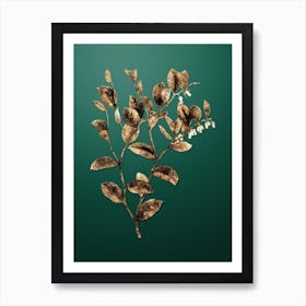 Gold Botanical Andromeda Axillaris Bloom on Dark Spring Green n.0408 Art Print