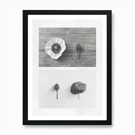 Poppy Flower Photo Collage 1 Art Print