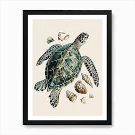 Sea Turtle & Shells Vintage Illustration 1 Art Print