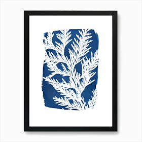Cypress Conifer Leaf Blue Art Print