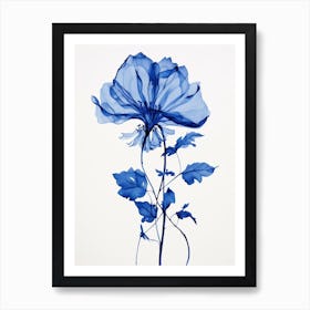 Blue Botanical Gloriosa Lily 4 Art Print