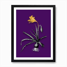 Vintage Amaryllis Broussonetii Black and White Gold Leaf Floral Art on Deep Violet Art Print
