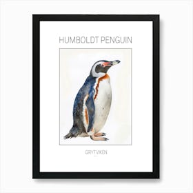 Humboldt Penguin Grytviken Watercolour Painting 1 Poster Art Print