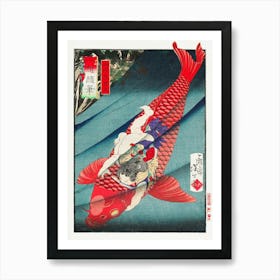 Koi Fish Poster