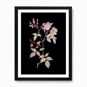 Stained Glass Velvet China Rose Mosaic Botanical Illustration on Black n.0278 Art Print
