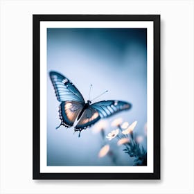 Flying Butterfly Art Print